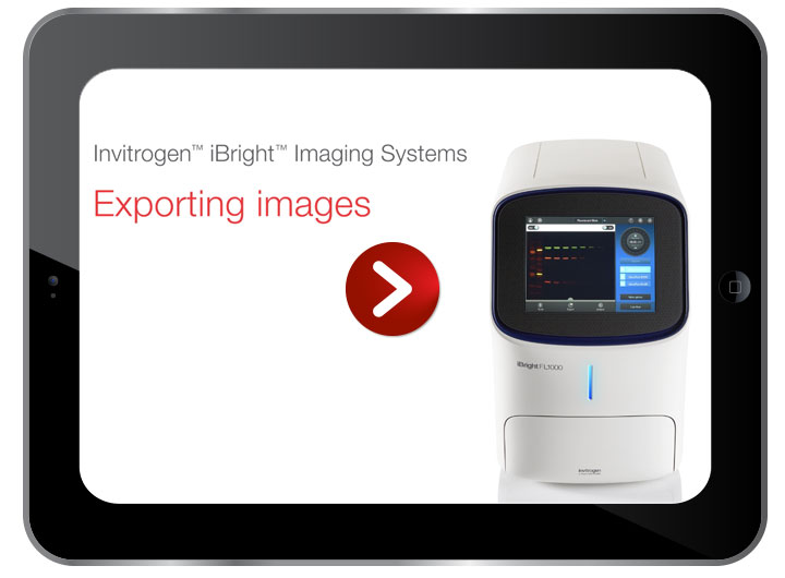 Video to play in ipad